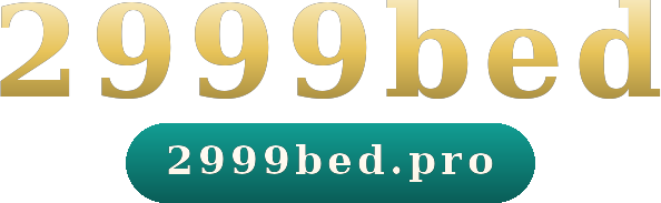 2999bed logo